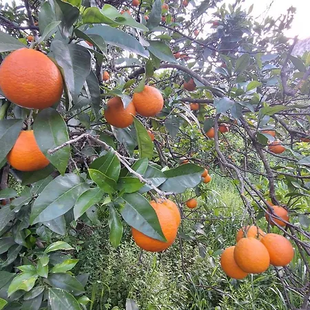 Thalia And Boreas 別荘 Vlikhón