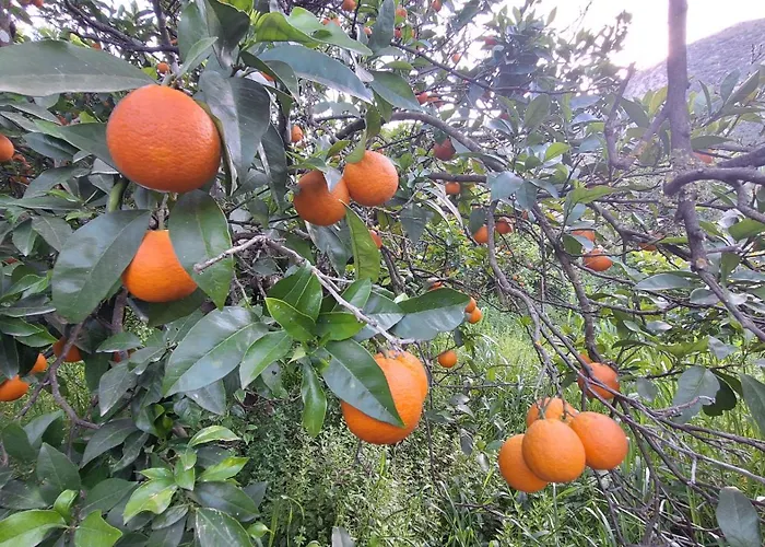 Thalia And Boreas Σπίτι διακοπών Βλυχό