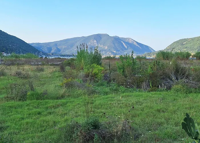 Thalia And Boreas Σπίτι διακοπών Βλυχό